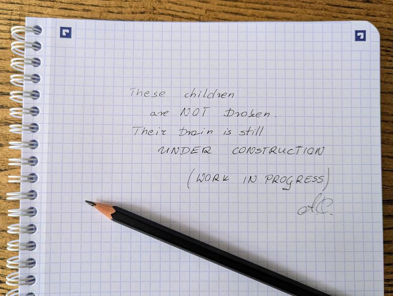 100 Life Lessons - Teenagers are the adults under construction